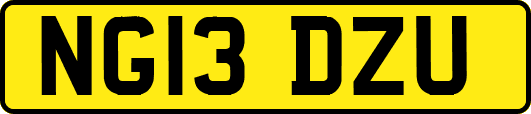 NG13DZU