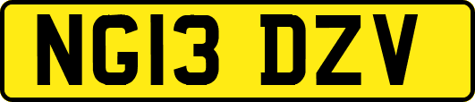 NG13DZV