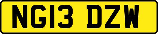 NG13DZW