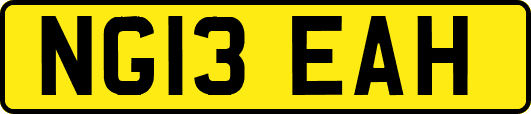 NG13EAH