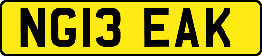 NG13EAK