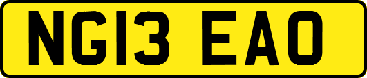 NG13EAO