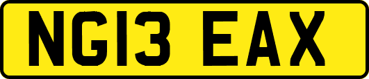 NG13EAX