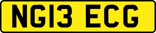 NG13ECG