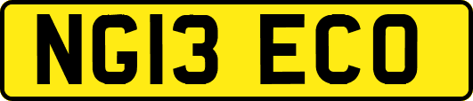 NG13ECO