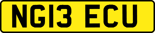 NG13ECU