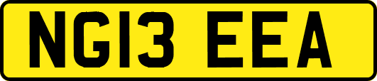 NG13EEA