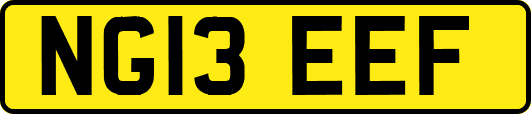 NG13EEF