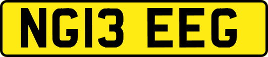 NG13EEG