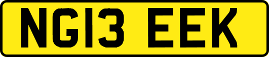 NG13EEK