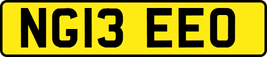 NG13EEO