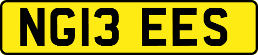 NG13EES