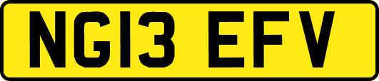 NG13EFV