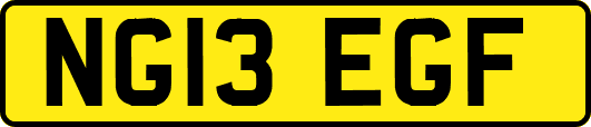 NG13EGF