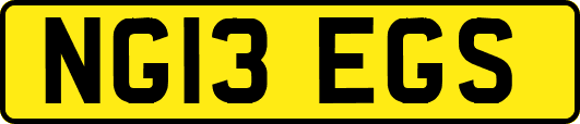 NG13EGS