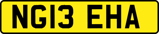 NG13EHA