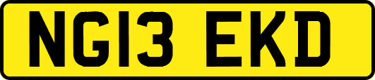 NG13EKD