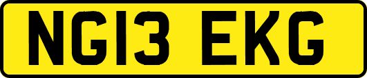 NG13EKG