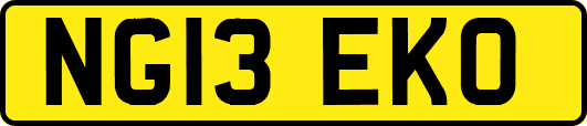 NG13EKO