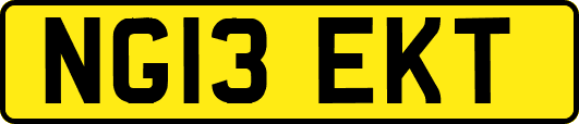 NG13EKT