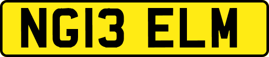 NG13ELM