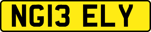 NG13ELY
