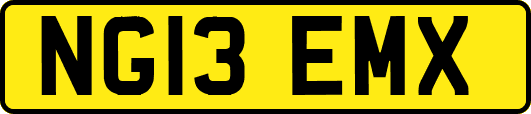 NG13EMX
