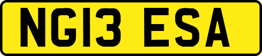 NG13ESA