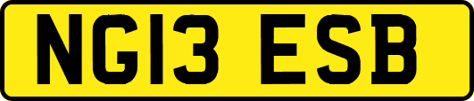 NG13ESB