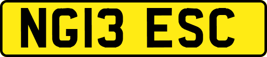 NG13ESC