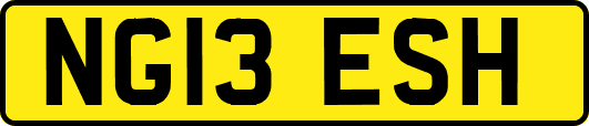 NG13ESH