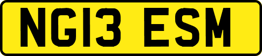 NG13ESM