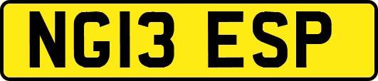 NG13ESP