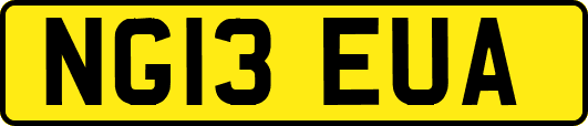 NG13EUA