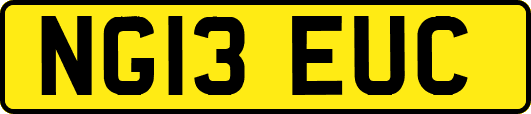 NG13EUC