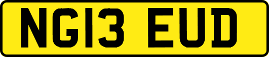 NG13EUD