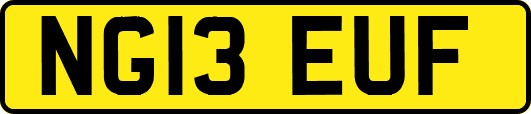 NG13EUF