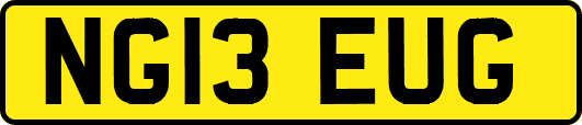 NG13EUG