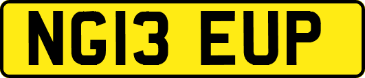 NG13EUP