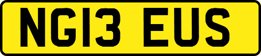 NG13EUS