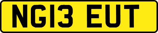 NG13EUT