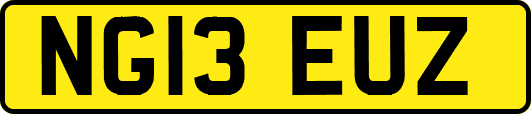 NG13EUZ