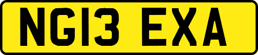NG13EXA