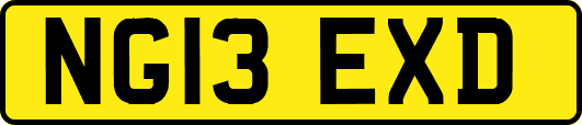 NG13EXD