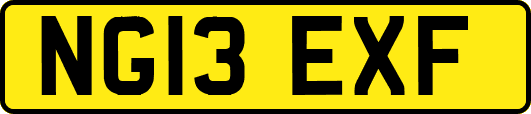 NG13EXF