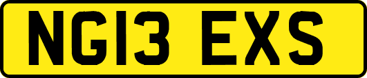 NG13EXS