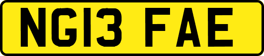 NG13FAE