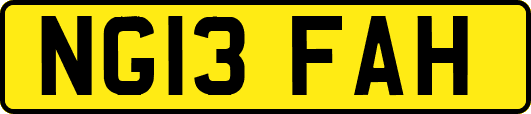 NG13FAH