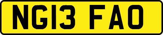NG13FAO