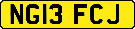 NG13FCJ